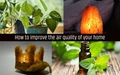 10 Economic and Natural Methods to Improve Air Quality of your Home