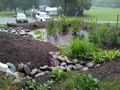 What is a Rain Garden and How you can make one?