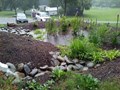 What is a Rain Garden and How you can make one?