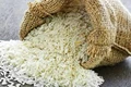 Arkansas University Releases aroma 17 an Aromatic Rice Variety