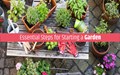How to Start Gardening from the Ground Up