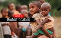 Biofortified crops are best for developing countries; Know Why