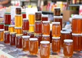 Honey Mission to double Farmers’ Income, Increase Exports and Generate Employment: Narendra Tomar