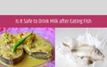 Can we Eat Fish and Milk Food Together? Know the Truth