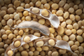 USDA Soybean Data Seen Slightly Bearish – Will the Upside Momentum Ease Now