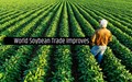 Global Soybean Trade picks up in March – World Oilseed Exports Projected Above Last Year