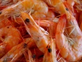 MPEDA Comes Up With a New Scheme to Certify Shrimp Farms