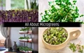 What are microgreens and How to grow them at home?