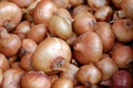 Maharashtra Onion Growers Demand Higher Price from NAFED This Year