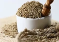 Cumin Markets turn subdued: similar trend may continue this month