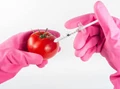 Gene-Edited Food shall be the Futuristic Food