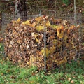 Convert Dry Leaves into Free Compost for your Garden