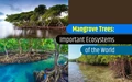 7 Surprising Facts about Mangrove Trees