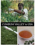 The Journey of  CUMBAM Valley, Tamil Nadu, ODC3  Moringa Value-Added Products to USA