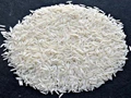 Punjab Agricultural University launches new variety of Basmati Rice
