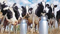 USDA Informs Dairy Producers and Processors about New Dairy Donation Program