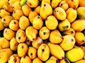 Make your summer healthy and sweet with the king of mangoes - Alphonso