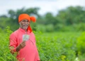 Good News! Government to release PM Kisan Money for These Farmers First; Check Your Status Here