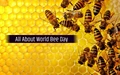 World Bee Day: History, Significance & Main Threats to Bees
