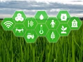 Agronomic Intelligence: Top 5 AgriTech Startups Making Indian Farmers Aatmanirbhar