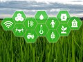 Agronomic Intelligence: Top 5 AgriTech Startups Making Indian Farmers Aatmanirbhar