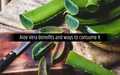 Aloe Vera Benefits and ways to consume it