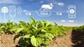 Precision Farming using Innovation and Technologies for Doubling Agri Income