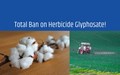 Telangana Government Imposes Total Ban on Herbicide Glyphosate
