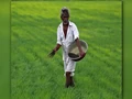 Farmers to get 25.5 lakh tonnes of Fertilizer for Upcoming Kharif Season
