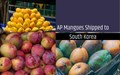 India's GI-Tagged Mango Exports Get Major Boost: APEDA