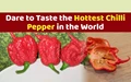 The Hottest Chilli Pepper in the World & The Secret of Its Hotness