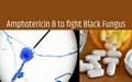 Government Takes Steps to Ramp up Availability of Amphotericin B to Treat Mucormycosis