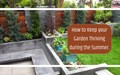 7 Gardening Tips: How to Take Care of Your Plants during Summer