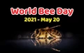 World Bee Day: 12 Amazing Facts about Bees