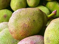 UK Set to Receive Its First Consignment of Jackfruit from Tripura