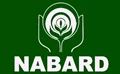 NABARD Recruitment 2021: Applications Invited for Junior Consultant & Other Posts; Direct Link to Apply Inside