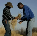 Civil Rights Victory for Black & Minority Farmers