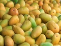 Mango Price Crash: Gujarat's Popular Kesar Mango is Less Expensive Than Potatoes