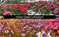 Indoor Flower Farming Guide & Different Methods of Cultivation