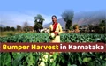 Karnataka likely to harvest record crop size in Kharif Season