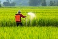 Poll finds majorities for climate strategy and pesticide bans