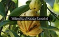 Cultivation of Malabar Tamarind and Its Health Benefits