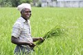 West Bengal relaunches Krishak Bandhu scheme doubling farmers' aid to Rs 10,000