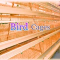 How to build a bird cage shelter for Chickens