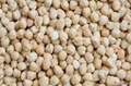 Global Chickpeas Remain Firm, Domestic Markets Ease Towards Weekend Session