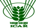 ICAR Recruitment 2021: Applications Invited for 13 Young Professional-II;  Check Age, Elibility, Salary & Other Details