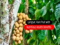 Nutritious Health Values of Langsat Fruit