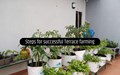 Beginners Guide to Successful Terrace Farming