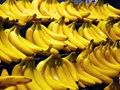 Dubai receives GI-Certified Jalgaon Bananas from India