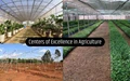 How Indo-Israel Centers of Excellence in Agriculture Promise to Change Face of Farming in India